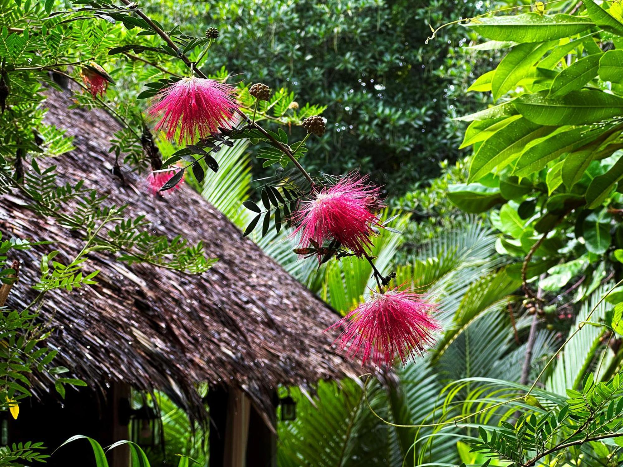Dreamville Koh Phangan Thongsala Exterior foto